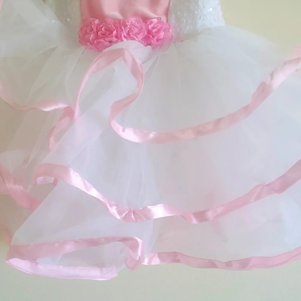SOLD OUT!! Weissman bunny ballerina costume - Picture 8 of 15